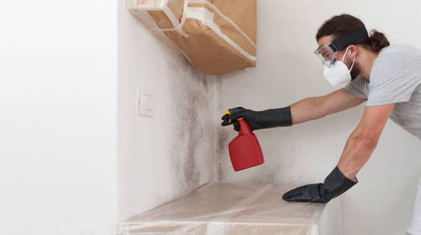 Professional Bathroom Mold Removal technician working in Mount Holly, NC