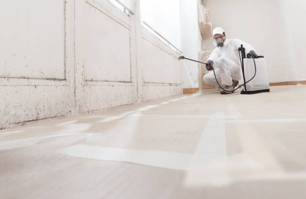 24/7 Emergency Bathroom Mold Removal experts in Mount Holly, NC